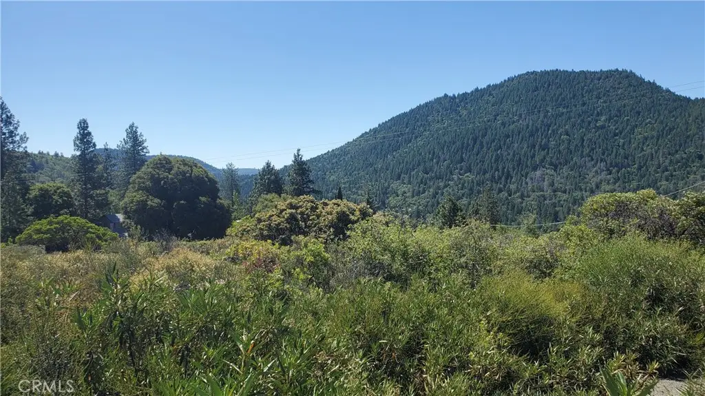 9176 Diamond Dust, Kelseyville, CA 95451 - #1