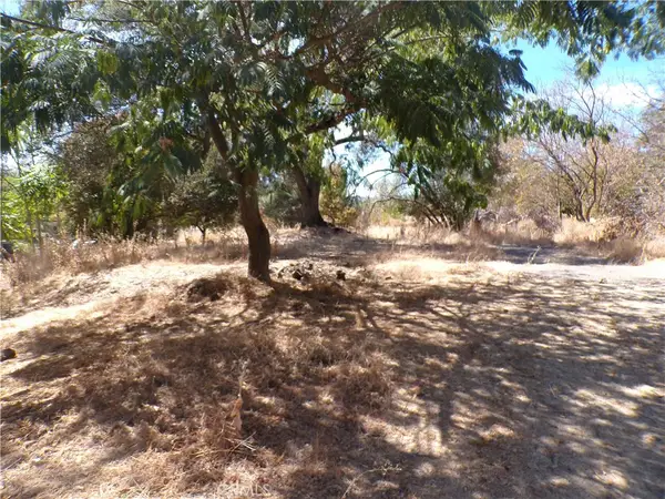 14176 Lupoyoma Street, Clearlake, CA 95422