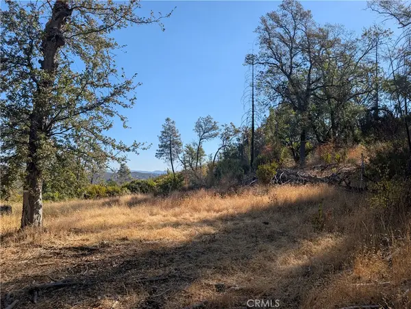 14127 Ettawa Springs, Loch Lomond, CA 95461