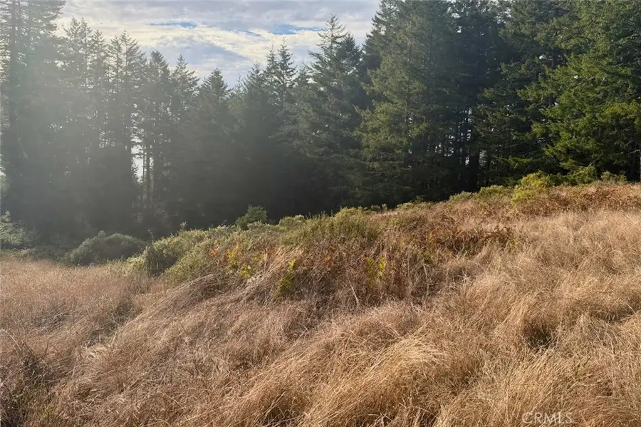 449 Drovers, The Sea Ranch, CA 95497 - #2