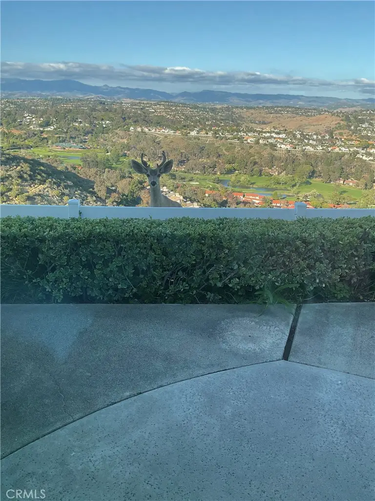 31422 Flying Cloud Drive, Laguna Niguel, CA 92677 - #2