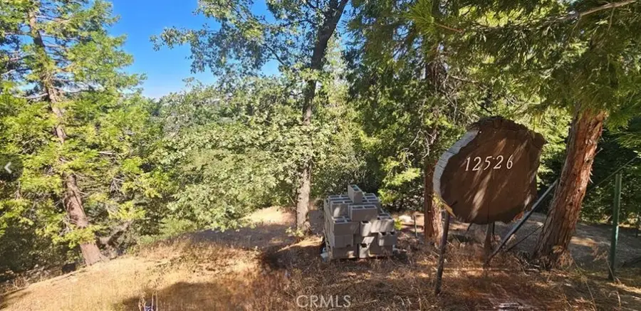 25126 Jewel Drive, Crestline, CA 92325 - Image #3