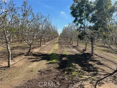 1081 E Gerard Avenue, Merced, CA 95341 - Image #3