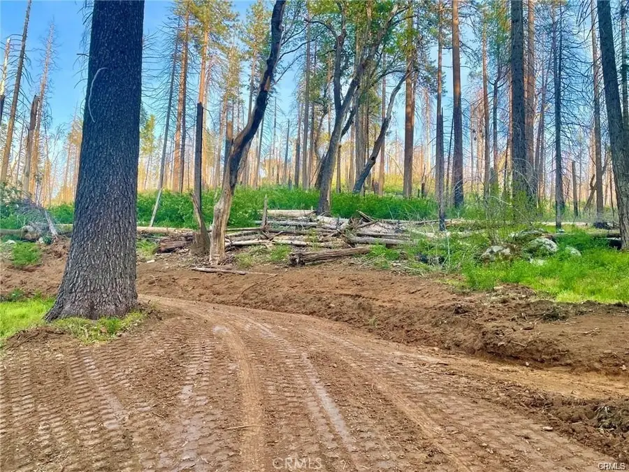 229 Comet Mine, Mariposa, CA 95338 - Image #3
