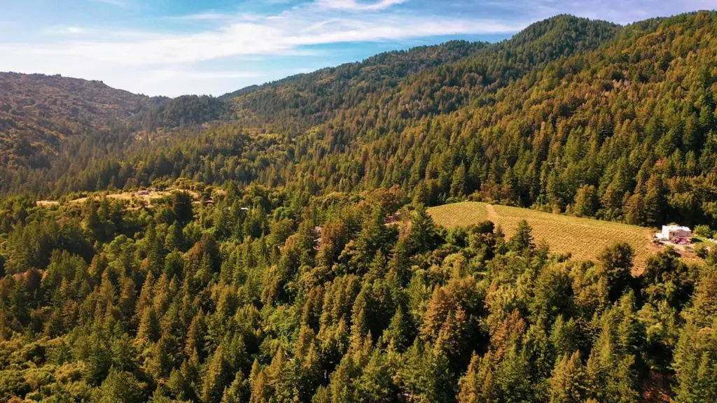 0 Congress Springs, Saratoga, CA 95070 - Image #1