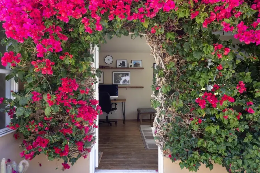 Address Withheld By Seller, Pacific Grove, CA 93950 - Image #3