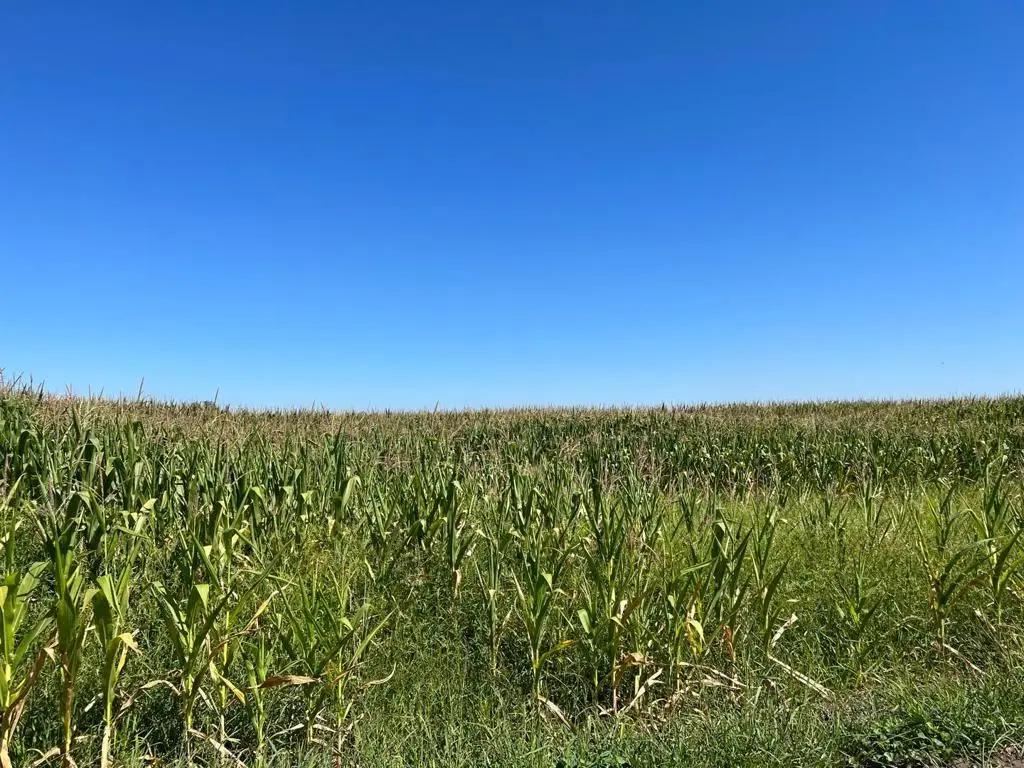 20444 S Lammers Road, Tracy, CA 95304 - Image #1