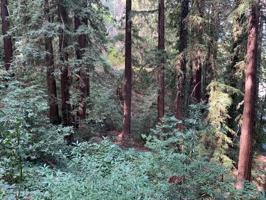 21745 Lindbergh Drive, Los Gatos, CA 95033 - Image #3