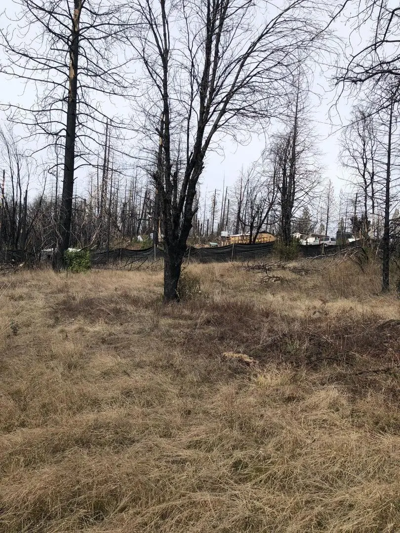 164 Graystone Lane, Berry Creek, CA 95916 - Image #2