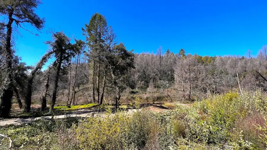 11035 Empire Grade, Santa Cruz, CA 95060 - Image #2