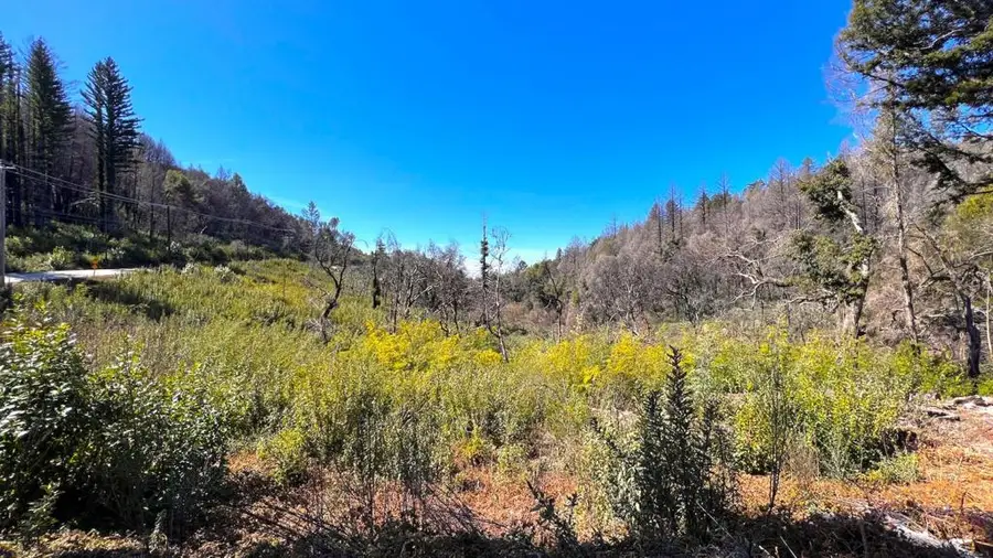 11035 Empire Grade, Santa Cruz, CA 95060 - Image #3