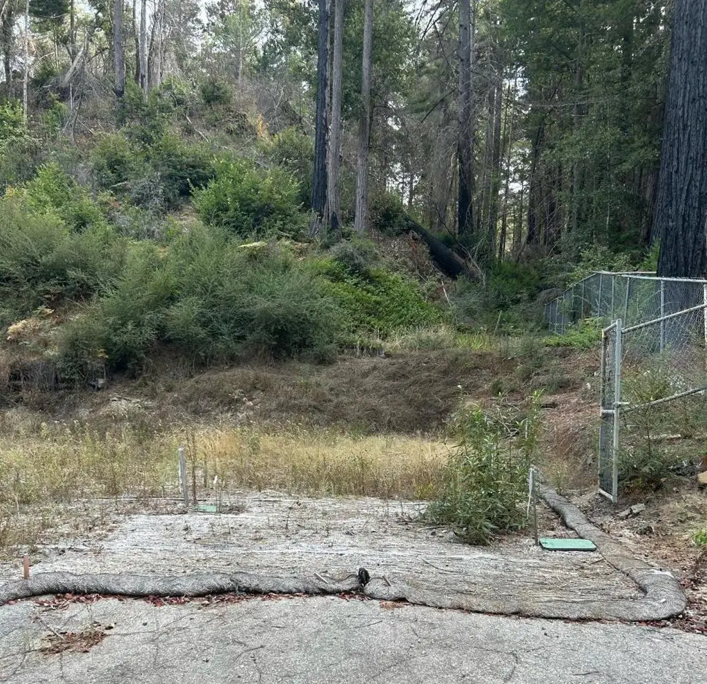 133 Lake Drive, Boulder Creek, CA 95006 - Image #1