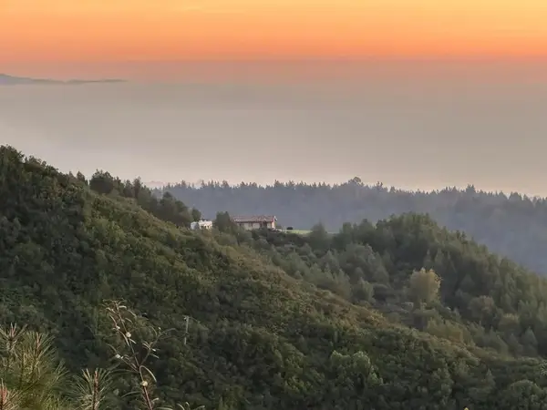 620 Maymens Flat Road, Los Gatos, CA 95033