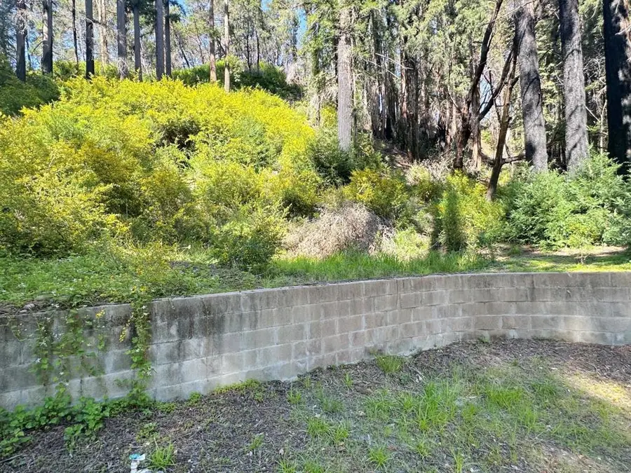 575 Hazel Brake, Boulder Creek, CA 95006 - Image #3