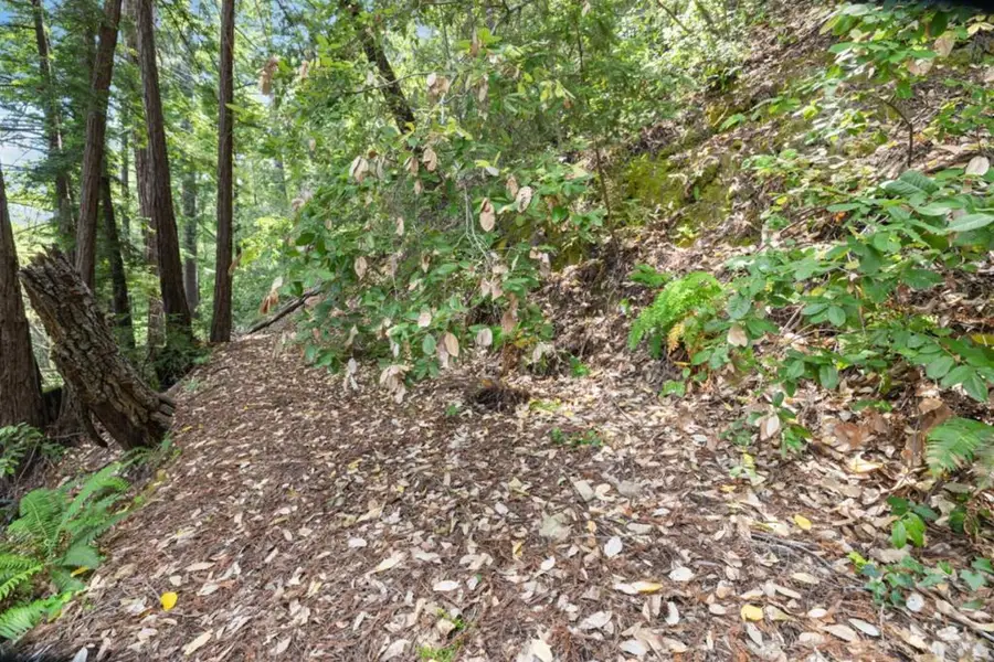 11507 Lakeview Avenue, Felton, CA 95018 - Image #2