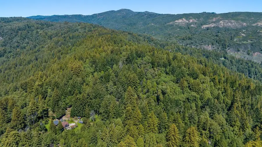 2900 Buzzard Lagoon Road, Corralitos, CA 95076 - Image #3