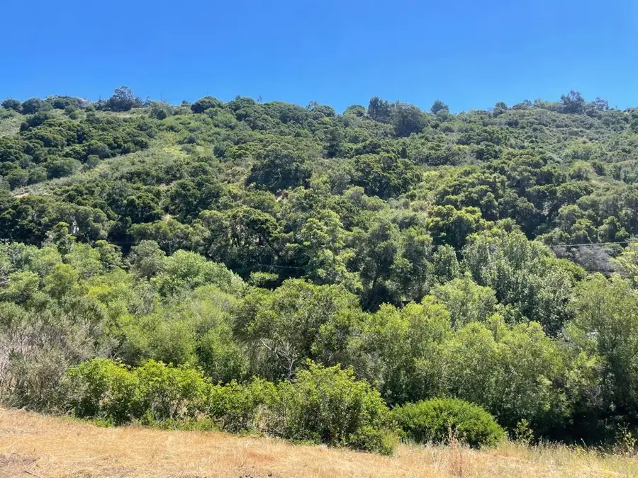 0 Tartan Trail Road, Hillsborough, CA 94010 - Image #2