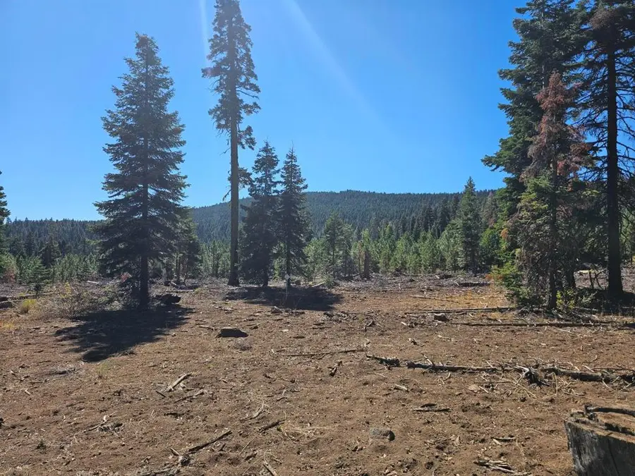 0 Prospect Road, Alturas, CA 96101 - #2