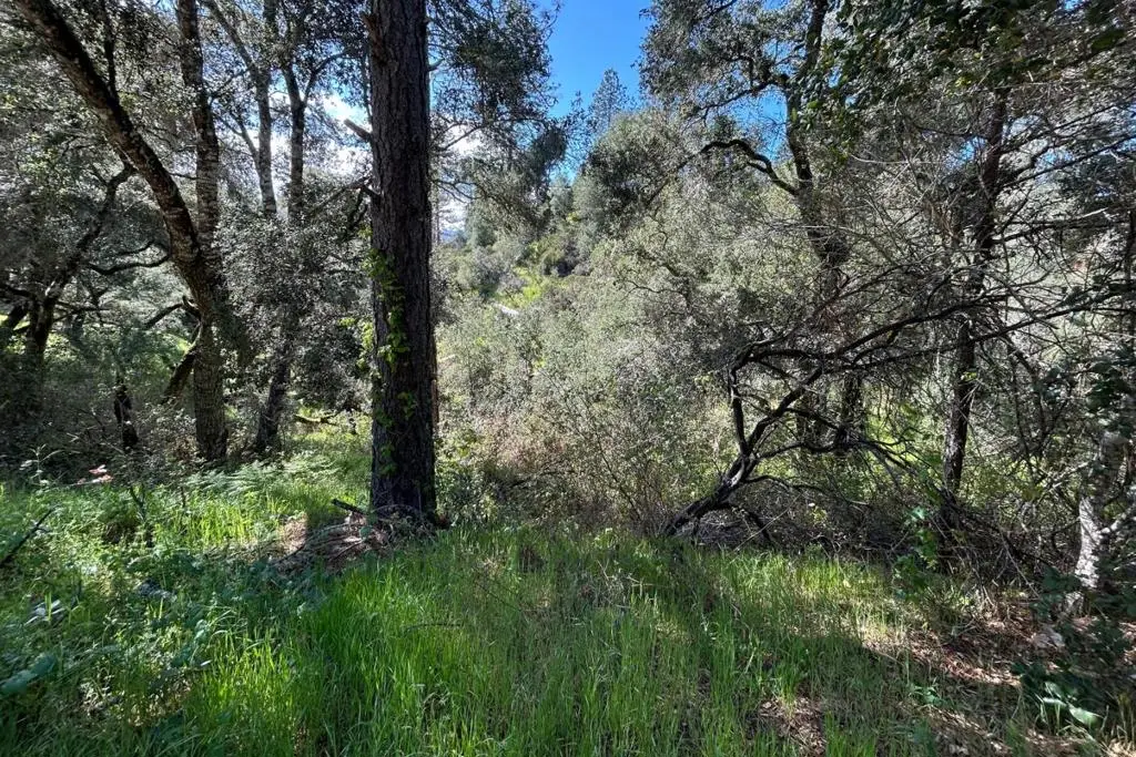 0 Marion Avenue, Ben Lomond, CA 95005 - Image #1