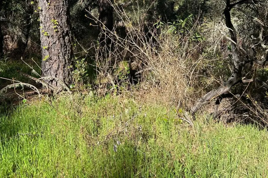 0 Marion Avenue, Ben Lomond, CA 95005 - Image #3