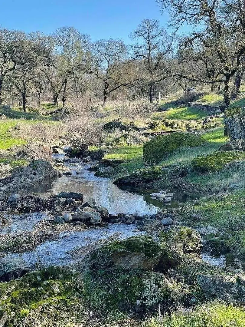 0 Avacado Road, Bangor, CA 95914 - Image #2