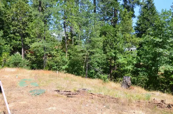 662 Roan Way, Avery, CA 95224