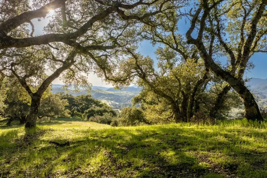 52 Chamisal Pass (lot 136), Carmel, CA 93923 - Image #2