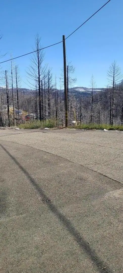 5406 Wooded Glen Drive, Grizzly Flats, CA 95636