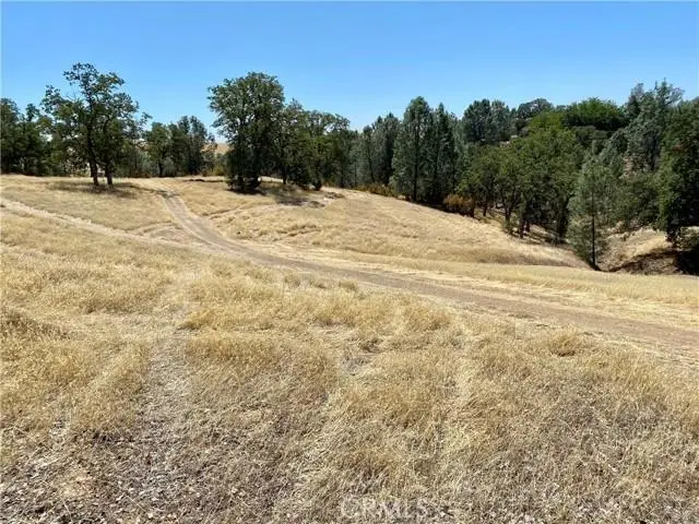 17323 Wagon Wheel Drive, Corning, CA 96021 - Image #2