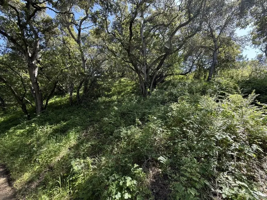 0 Bartlett Way, Belmont, CA 94002 - Image #2