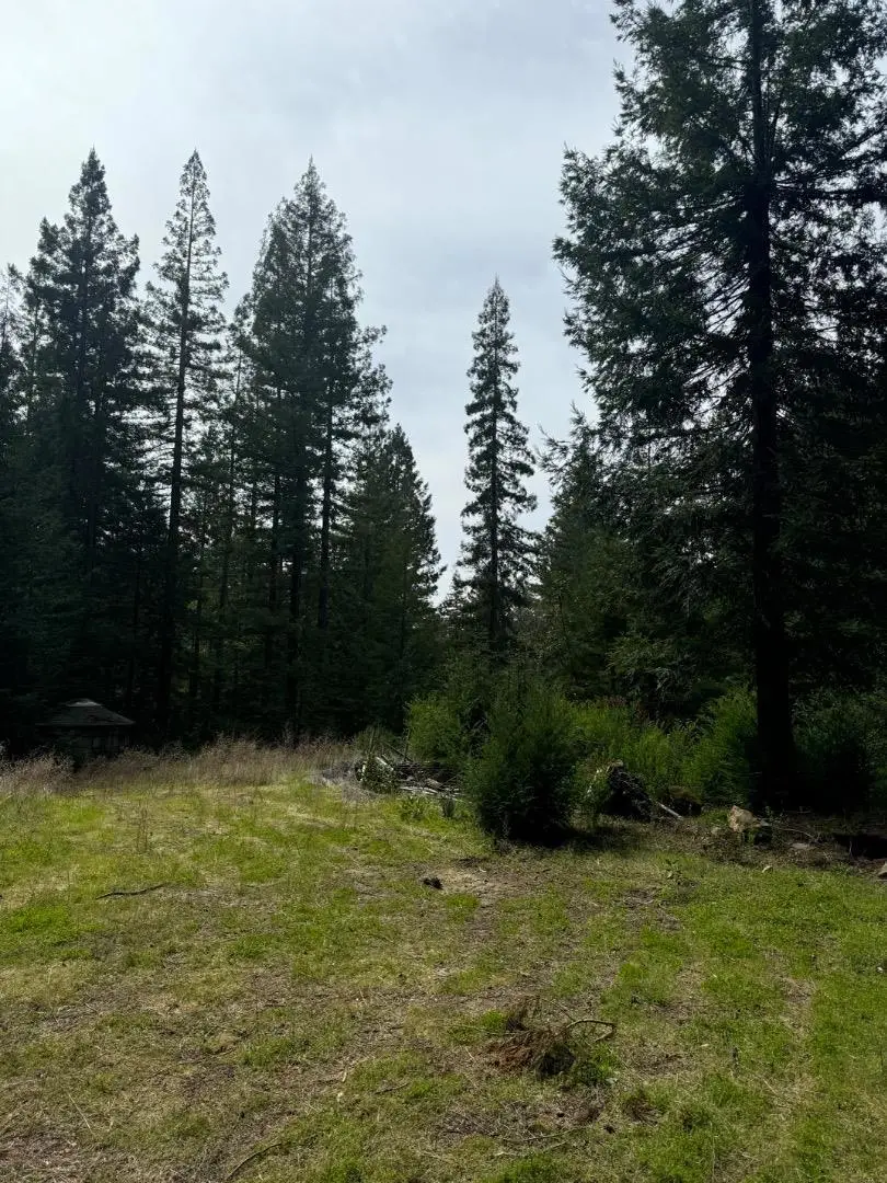 320 Timber Cove, Boulder Creek, CA 95006 - Image #3