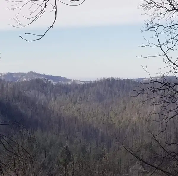 20604 Little Basin Road, Boulder Creek, CA 95006