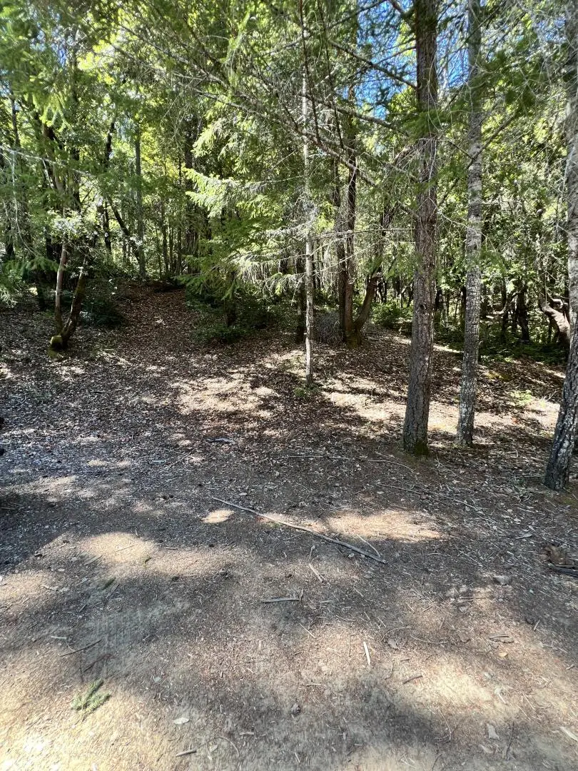 24858 Clover Road, Willits, CA 95490 - #2