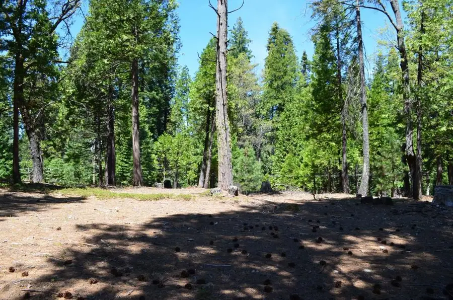 3112 Apache Road, Dorrington, CA 95223 - Image #2