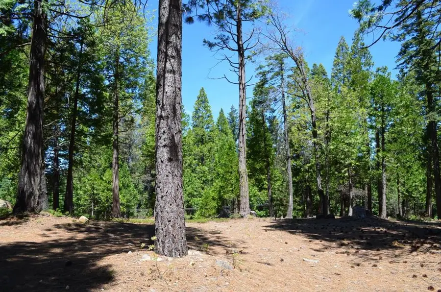 3112 Apache Road, Dorrington, CA 95223 - Image #3