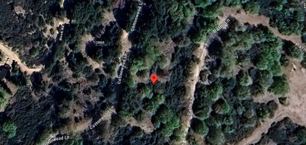 29865 Hickory Drive, Cedar Glen, CA 92321 - Image #1