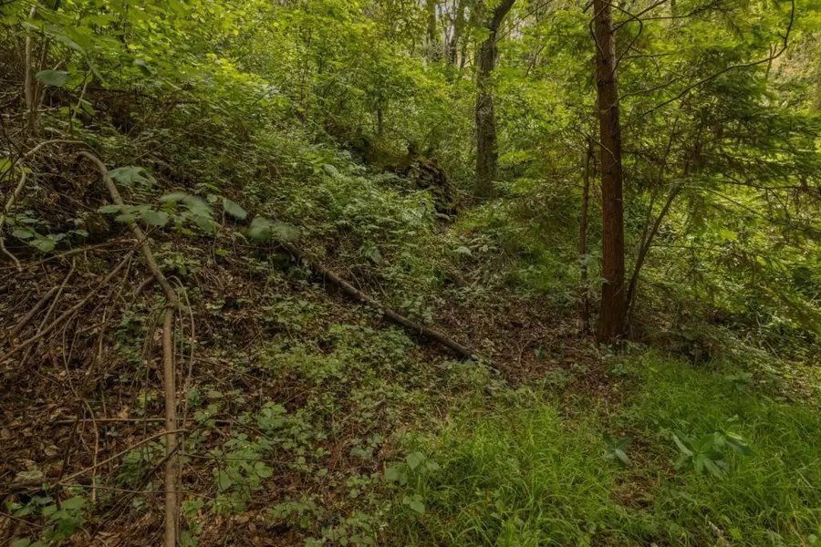 Cathedral Drive, Aptos, CA 95003 - Image #2