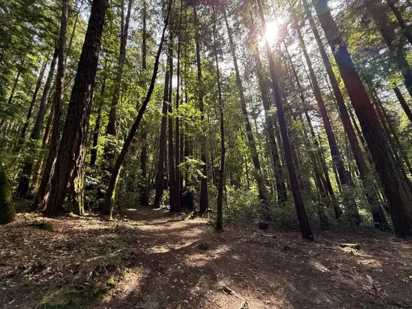 0 Slate Creek Rd., La Honda, CA 94020