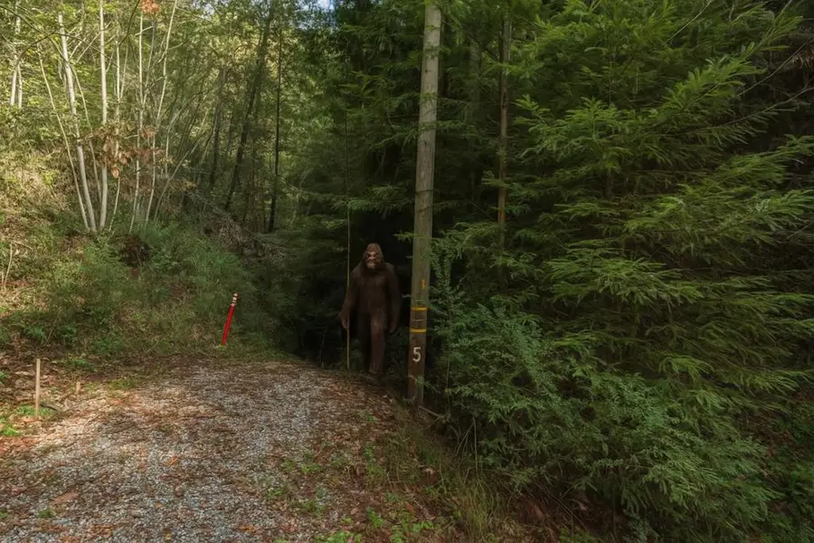 Antler Street, Felton, CA 95018 - Image #2