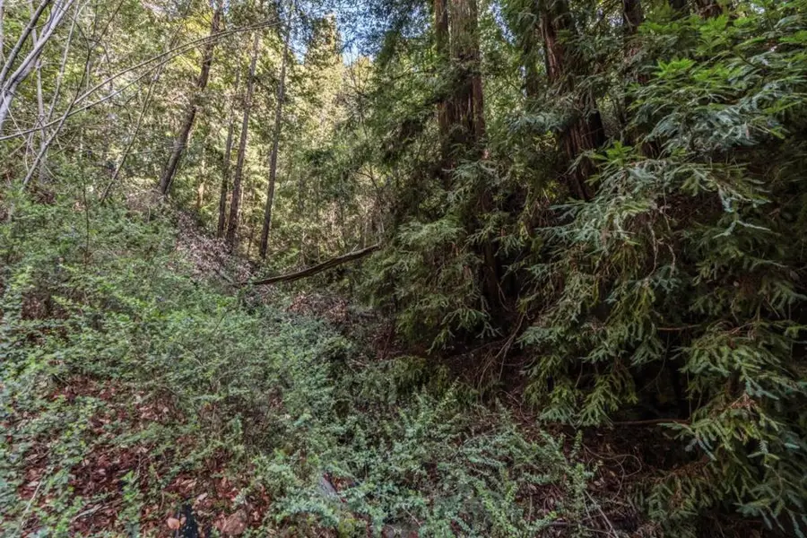 Antler Street, Felton, CA 95018 - Image #3