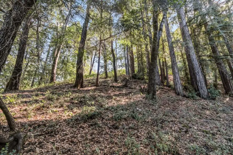 Volver Avenue, Felton, CA 95018 - Image #3