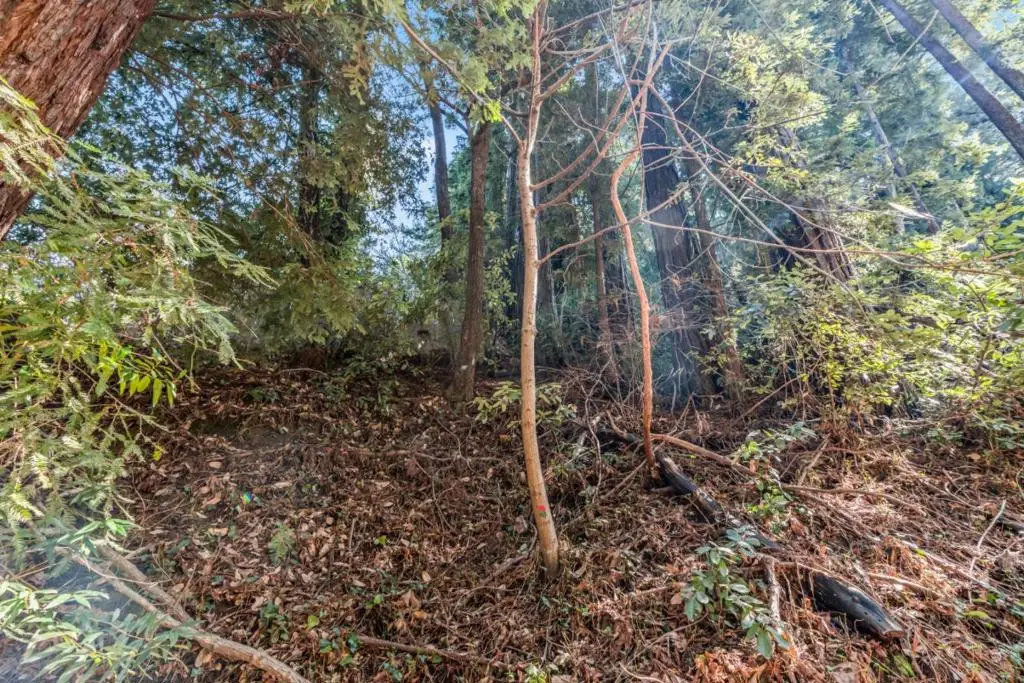 La Lena Street, Felton, CA 95018 - Image #1