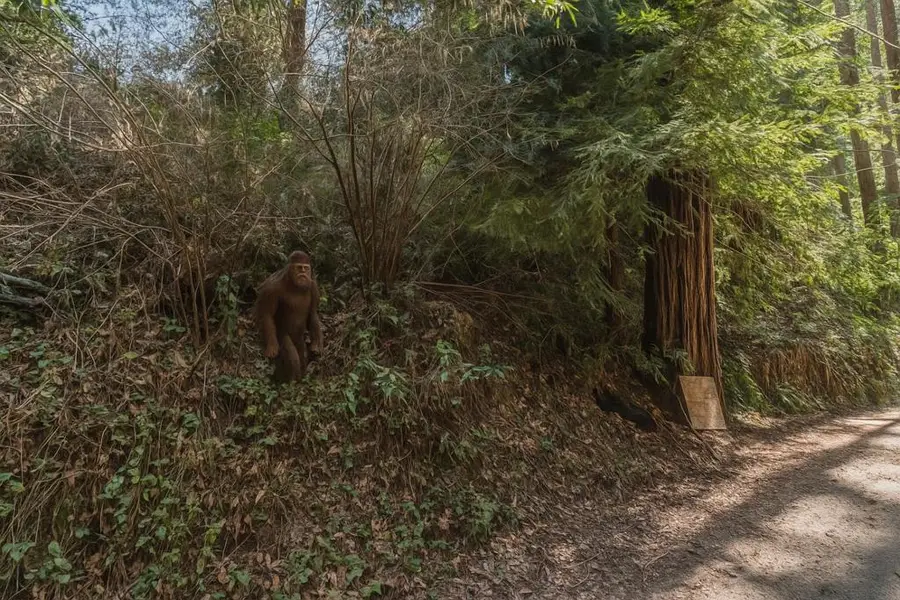 La Lena Street, Felton, CA 95018 - Image #3