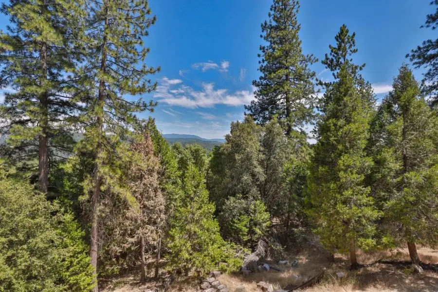 16271 Stephanie Way, Pioneer, CA 95666 - Image #2