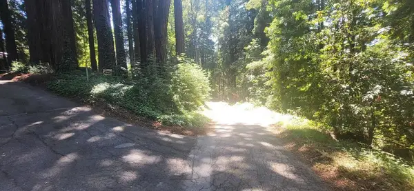 1080 Blue Ridge Drive, Boulder Creek, CA 95006