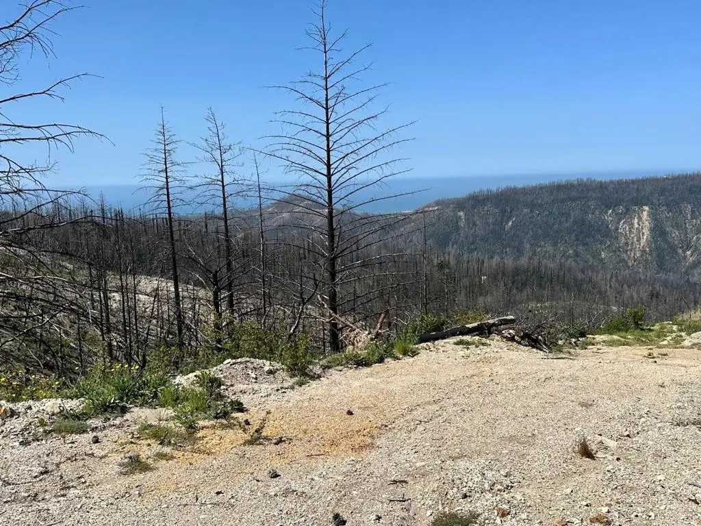 0 S Pine Mountain Rd., Davenport, CA 95017 - Image #1