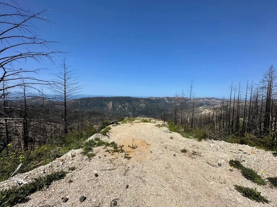 0 S Pine Mountain Rd., Davenport, CA 95017 - Image #2