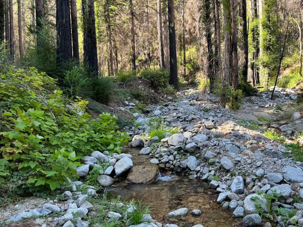 Boulder Brook Drive, Boulder Creek, CA 95006 - Image #1