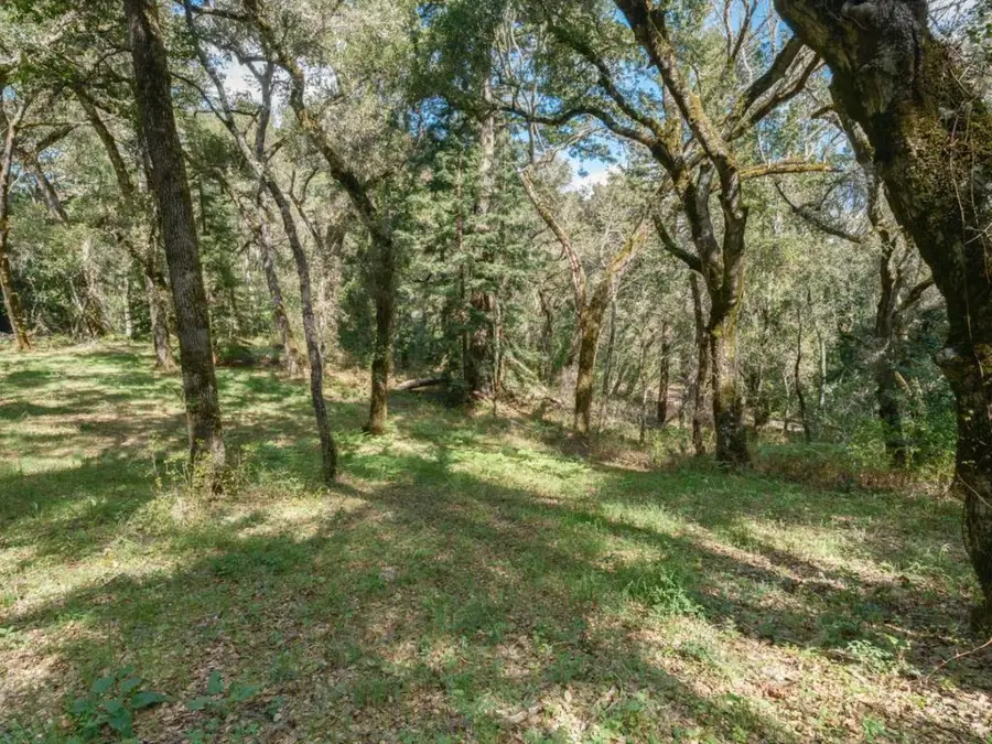 35000 Robinson Canyon Road, Carmel, CA 93923 - Image #3