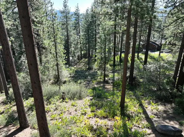 881 Onnontioga Street, South Lake Tahoe, CA 96150